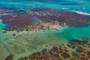 Caribessa: O Caribe Paraibano Que Encanta Turistas e Amantes da Natureza