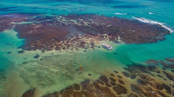 Caribessa: O Caribe Paraibano Que Encanta Turistas e Amantes da Natureza Caribessa: O Caribe Paraibano Que Encanta Turistas e Amantes da Natureza