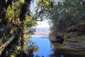 Dia dos Pais: Parques naturais oferecem entrada gratuita para pais em agosto Dia dos Pais: Parques naturais oferecem entrada gratuita para pais em agosto