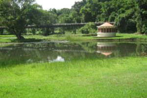 Jardim Botânico
