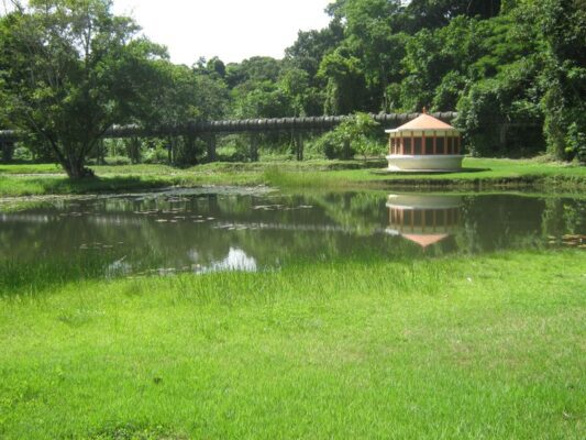 Jardim Botânico: Trilhas e outras atividades de lazer em conexão com a natureza em João Pessoa Jardim Botânico