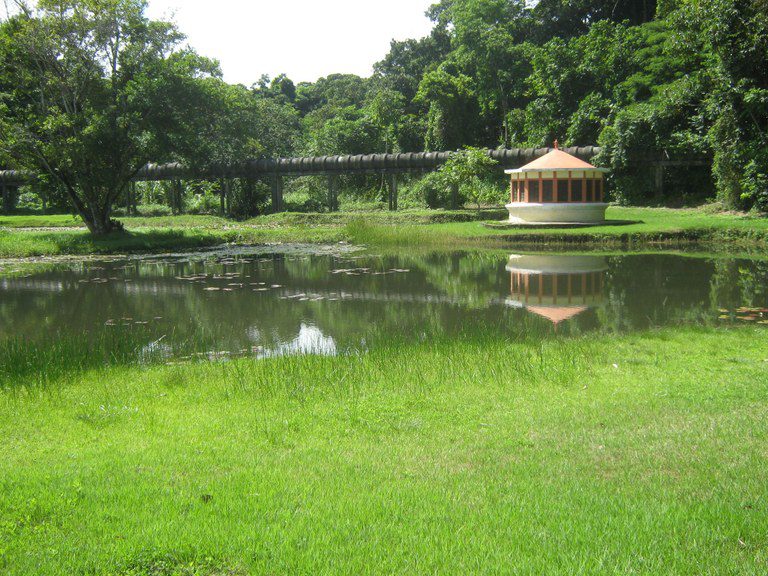Jardim Botânico: Trilhas e outras atividades de lazer em conexão com a natureza em João Pessoa Jardim Botânico