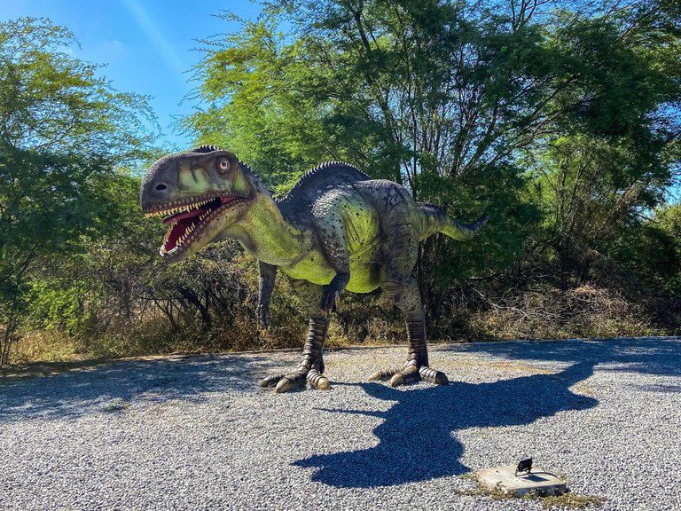 Vale dos Dinossauros: Sertão da Paraíba tem um dos sítios paleontológicos mais importantes do mundo Vale dos Dinossauros: Sertão da Paraíba tem um dos sítios paleontológicos mais importantes do mundo