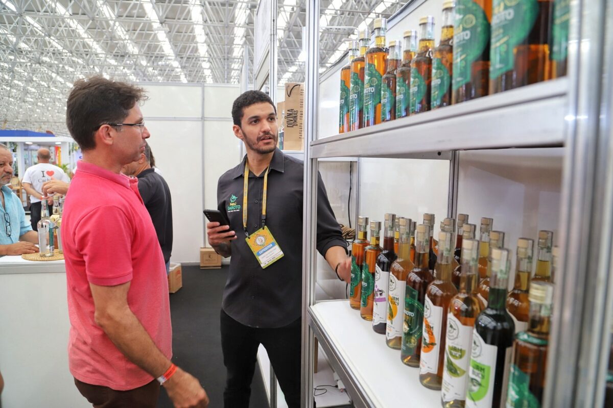 Brasil Cachaças 2025 chega a João Pessoa; confira programação completa