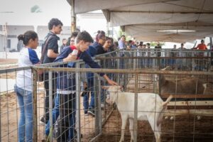 Feira Berro do Bode retorna a Esperança após 20 anos Feira Berro do Bode retorna a Esperança após 20 anos