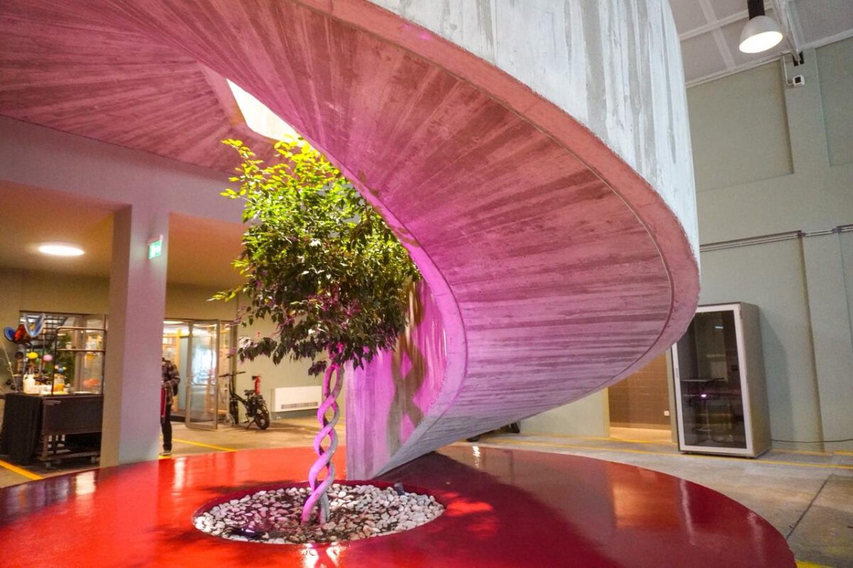 Paraíba terá sede permanente em Hub Digital de Portugal para impulsionar a transformação digital