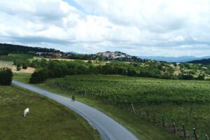 Visto de Nômade Digital: Eslovênia lança permissão de 1 ano e atrai trabalhadores remotos