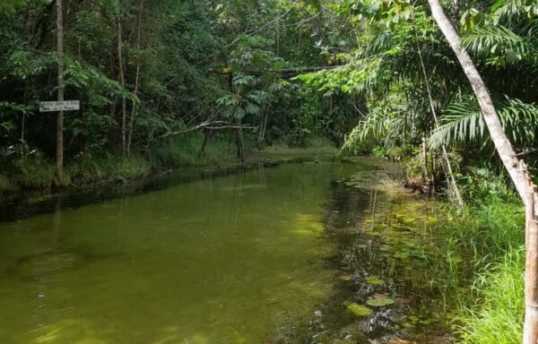 Rio do Gozo: santuário de águas cristalinas da Aldeia Potiguara