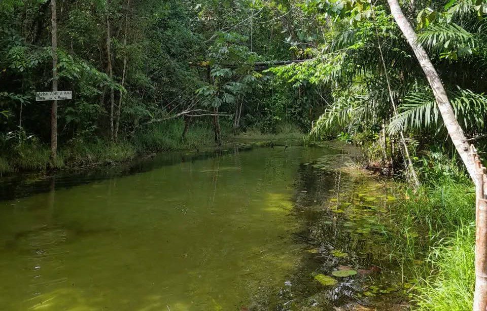 Rio do Gozo: santuário de águas cristalinas da Aldeia Potiguara Rio do Gozo: santuário de águas cristalinas da Aldeia Potiguara